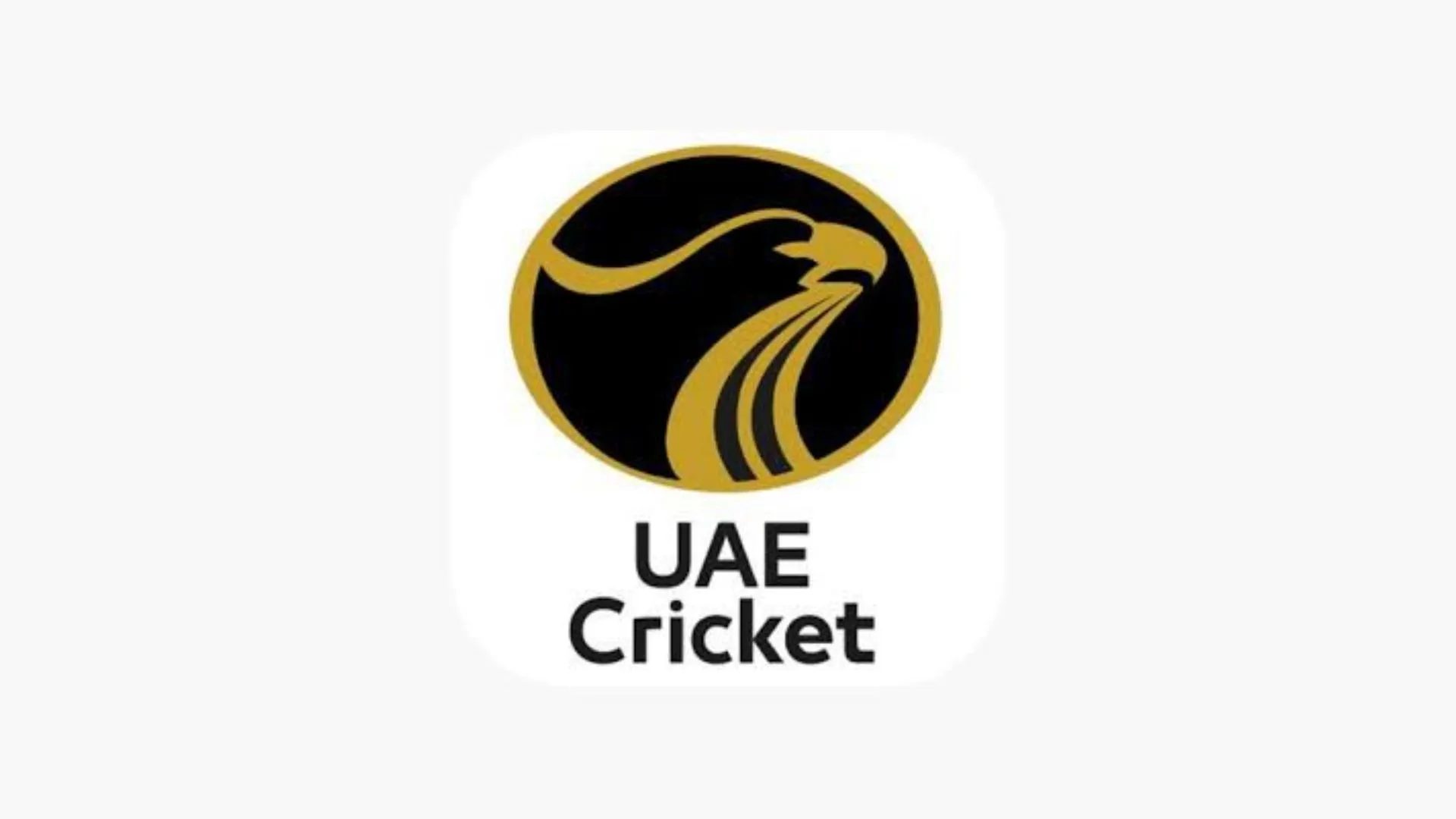 Baseball Governing Committee Continues to Explore Sport’s Development and Growth Opportunities in the UAE