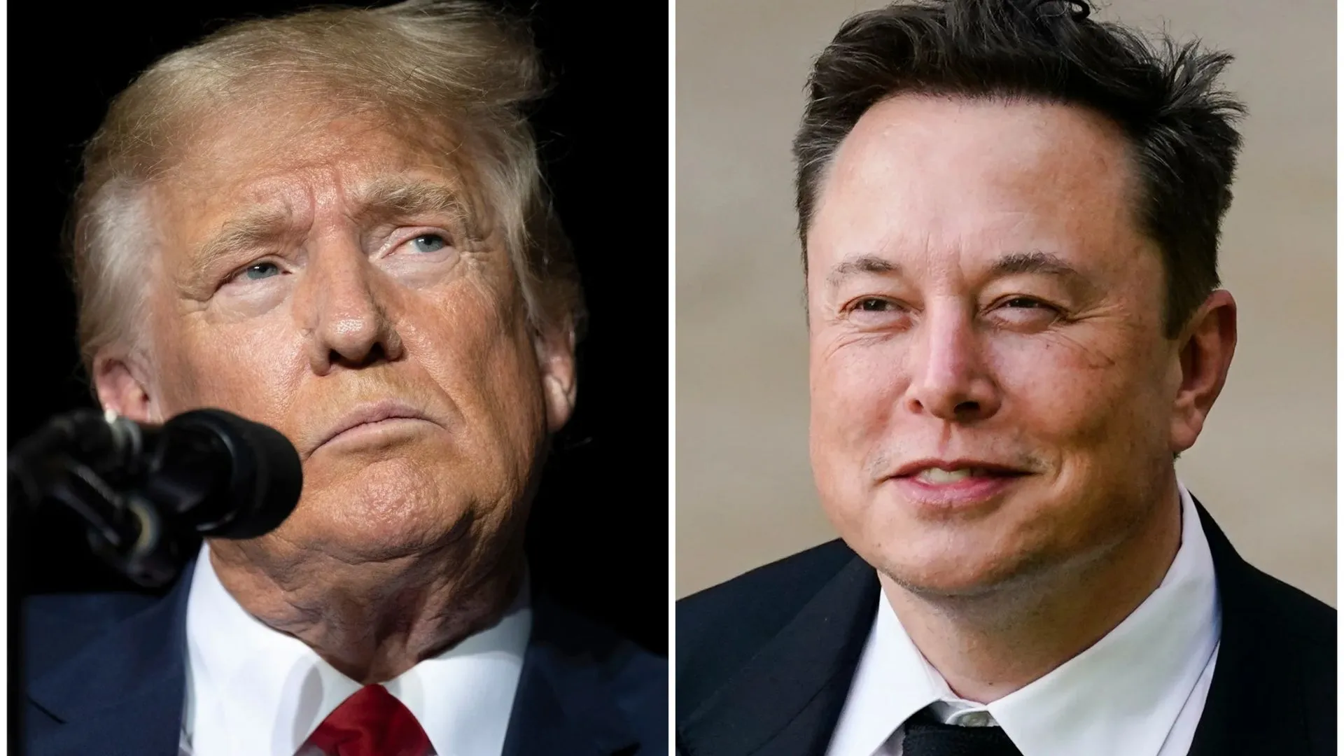 Elon Musk Apologises for ‘Going Too Far’ After Tesla Loses 0 Billion