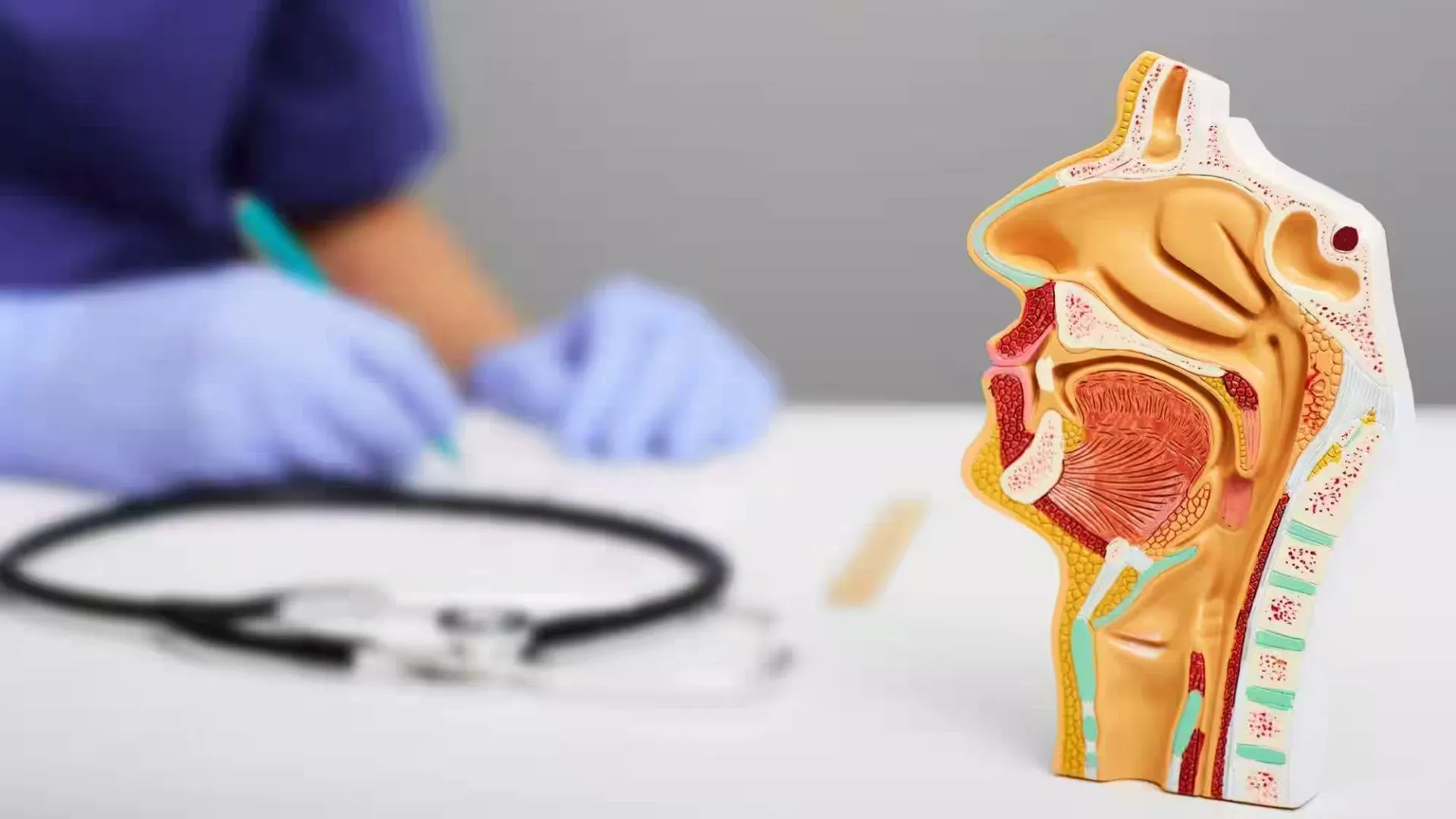 Jaipur Man Questions Rs. 1,300 Ear Wax Fee, Doctors Explain the Cost