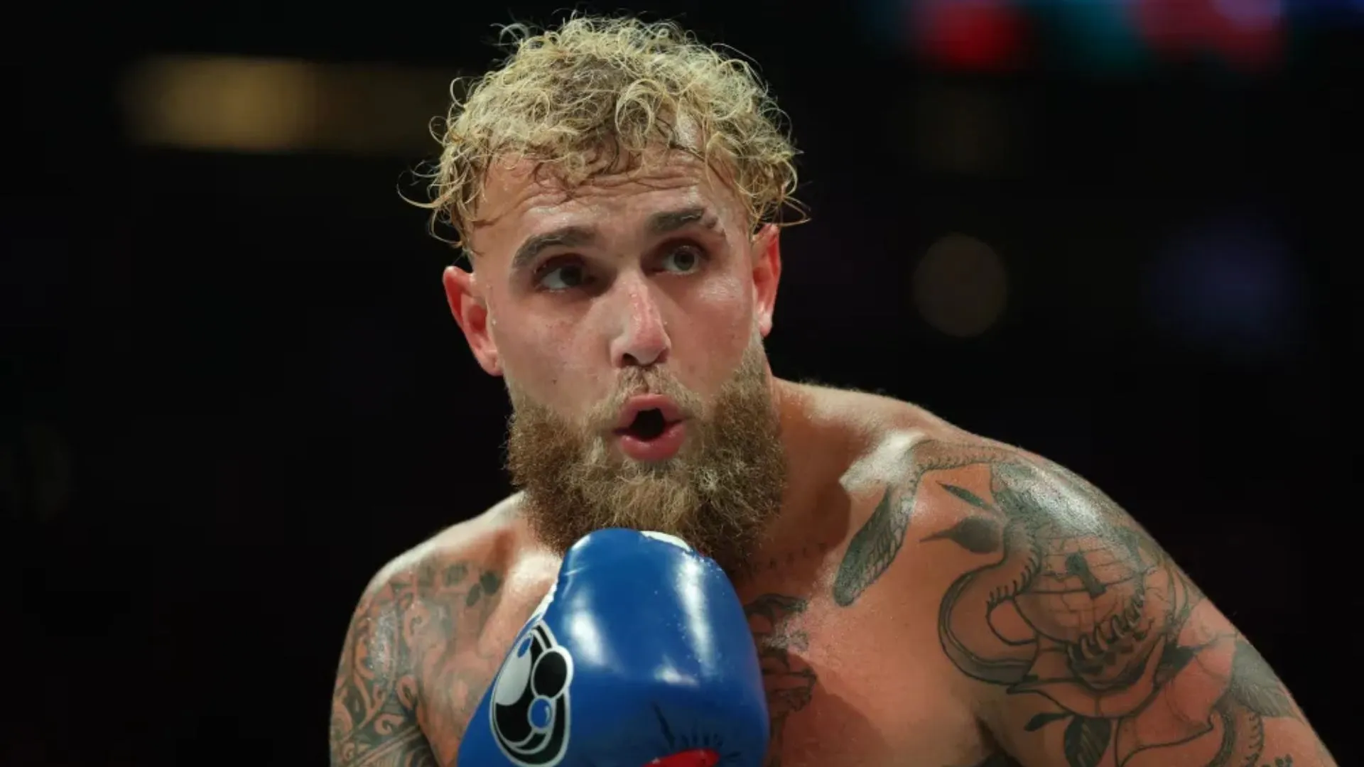 ‘Shut the F**K Up’: Jake Paul Fires Back After Beating Chavez Jr