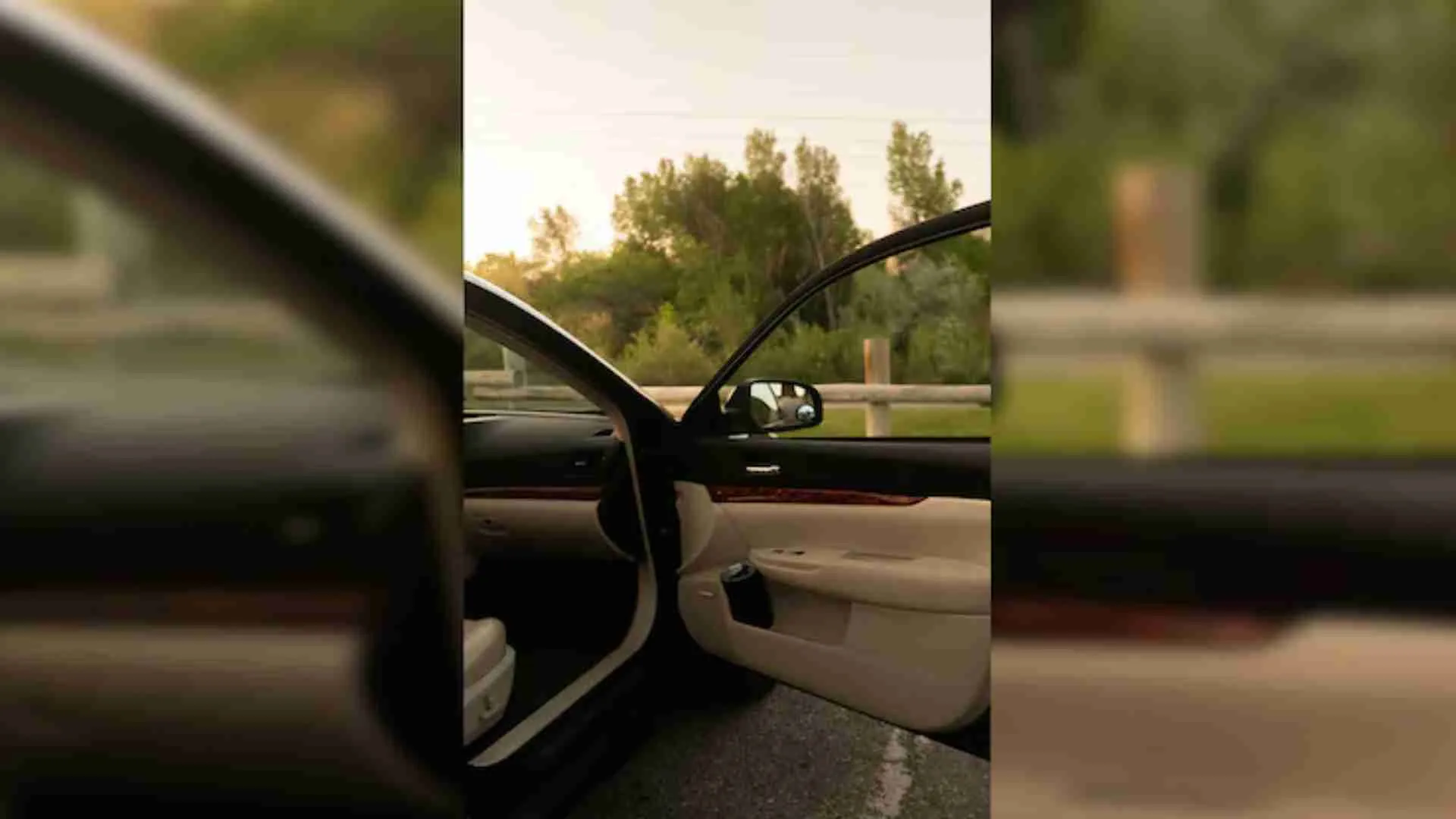 ‘Kind Of Fun’: UK Couple Steals Back Their Own Car From Thieves As Police Were Too Busy