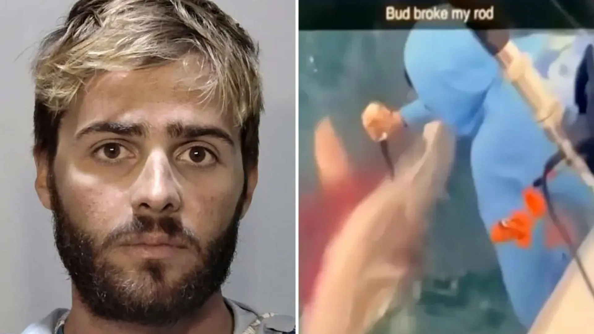 Man Stabs Shark in ‘Revenge’ for Stealing Fish, Gets Arrested