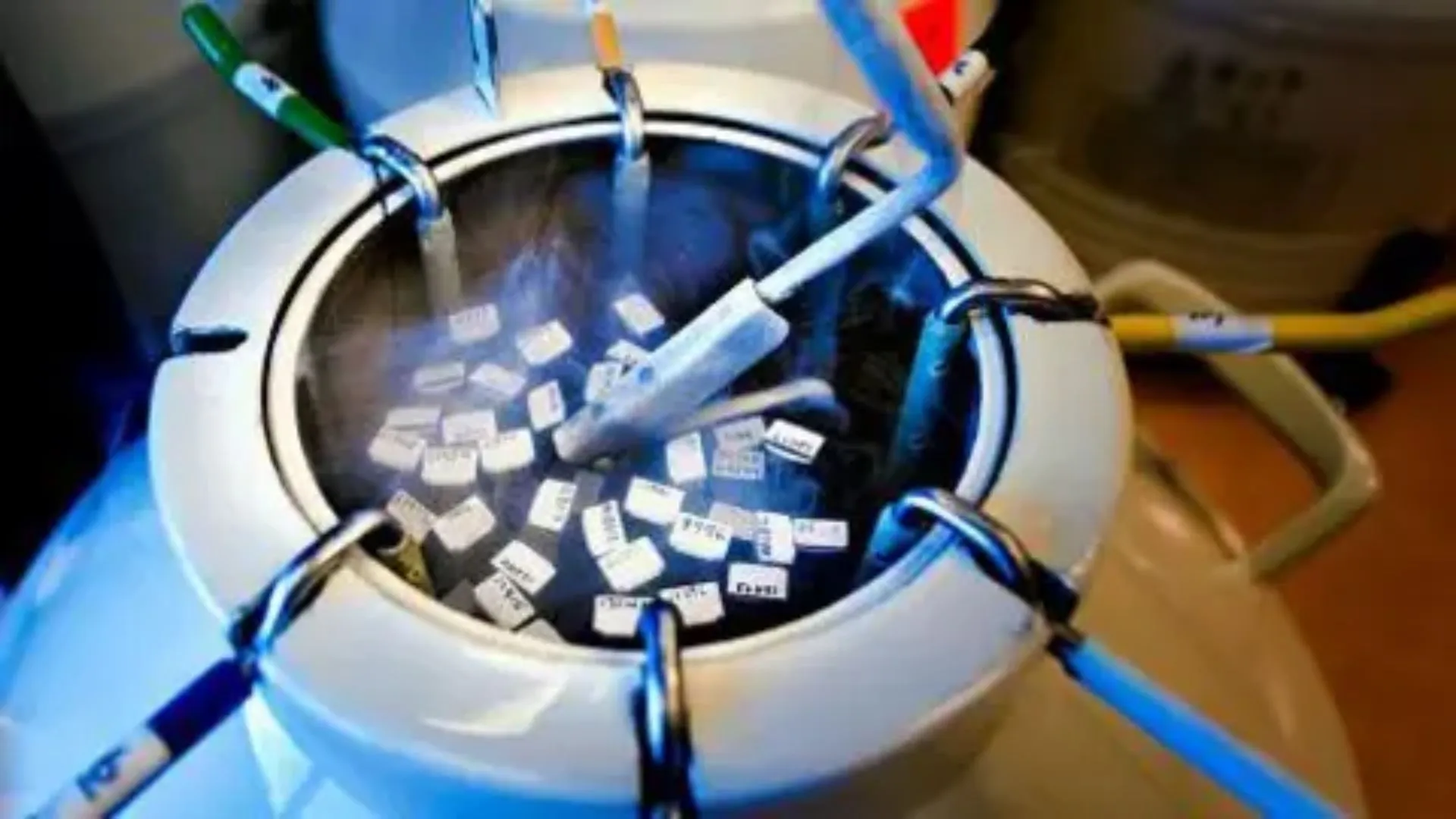 Mumbai Mother Seeks Late Son’s Frozen Sperm to Carry On Family Line