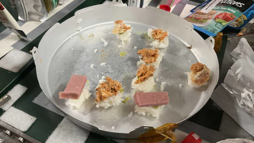 NASA Astronaut Shares Sushi Party Moment During Joyful ISS Celebration