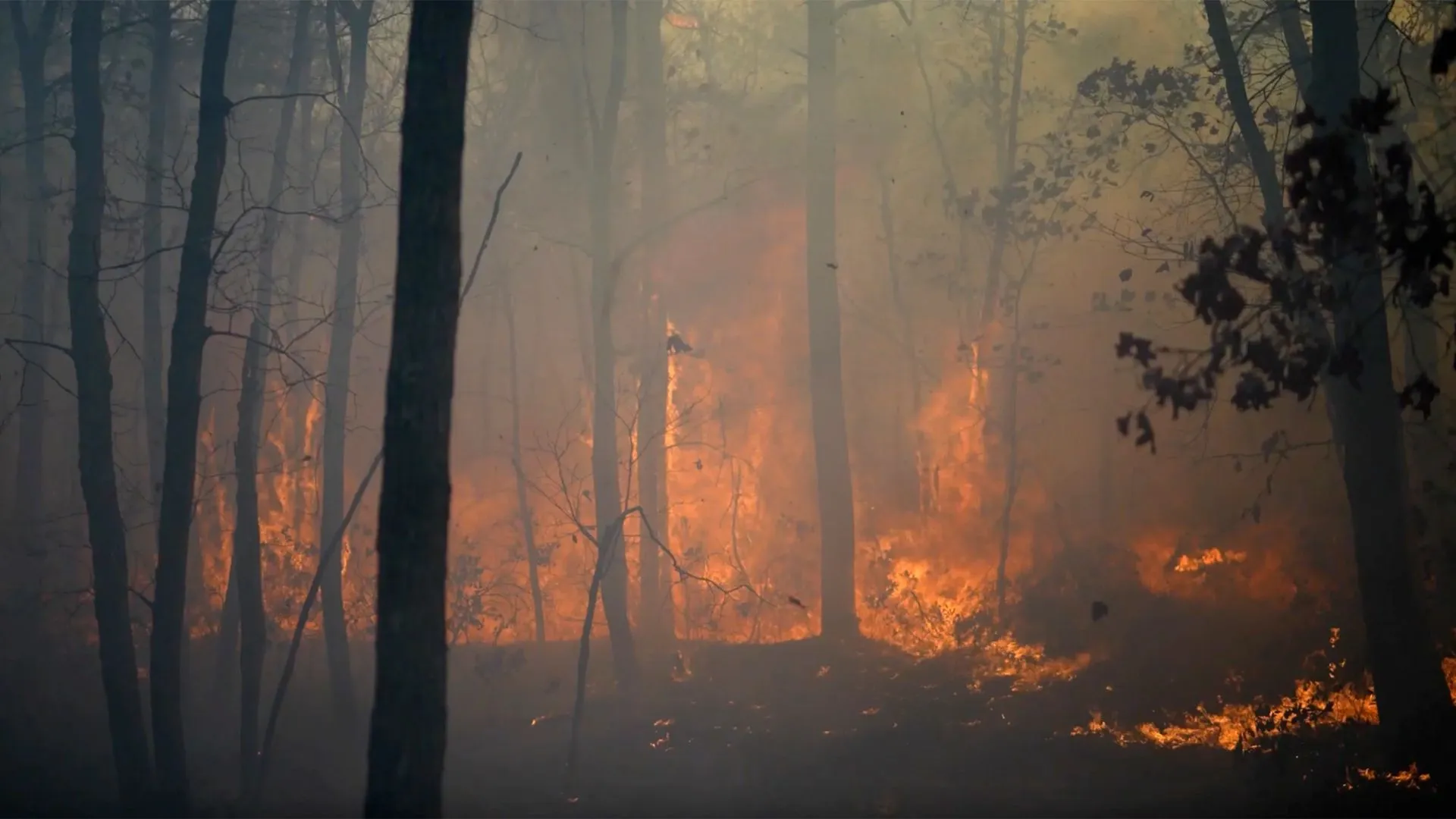 Philadelphia Air Quality Worsens as New Jersey Wildfires Rage On