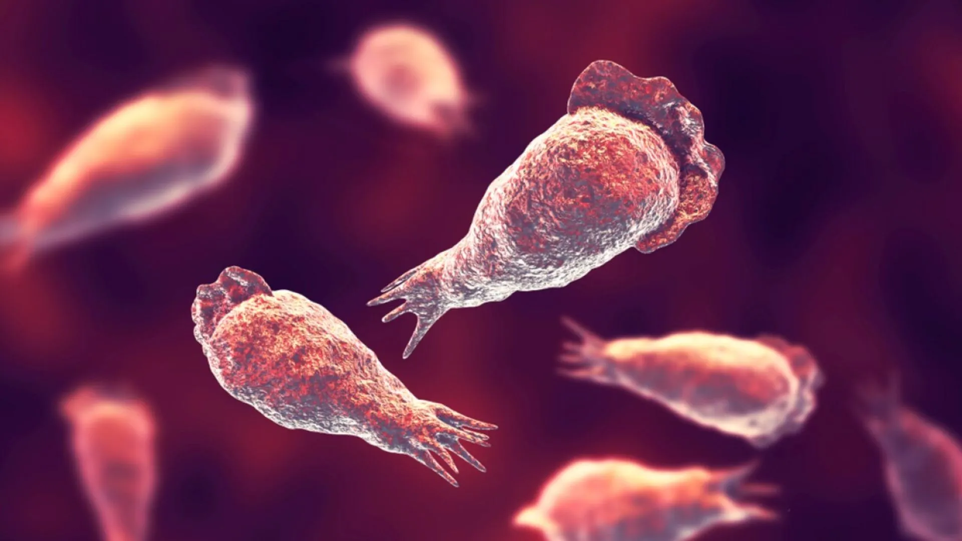 Texas Woman Dies After Using Tap Water in Sinus Rinse, Infected by Brain-Eating Amoeba