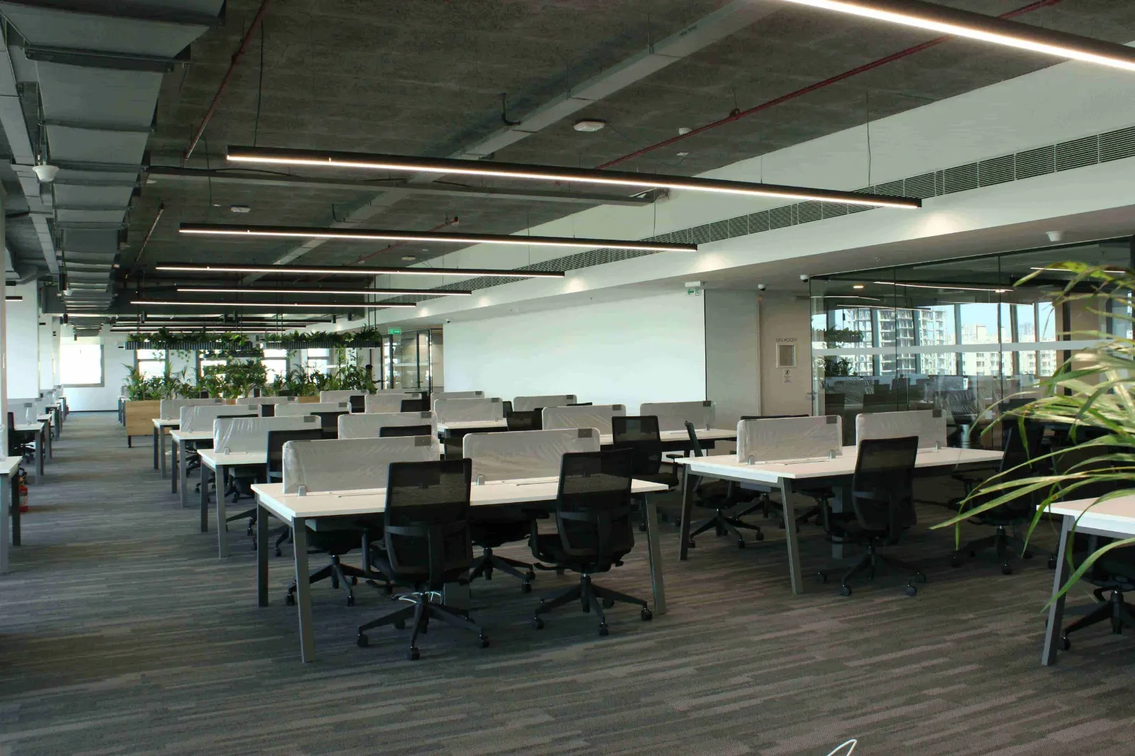 Beyond the cubicle: How better office design boosts creativity