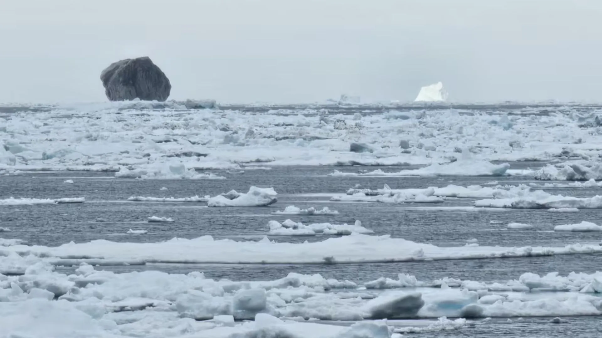Why This Canadian Iceberg Looks Black