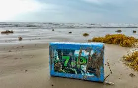 Cocaine Worth  Million Washes Up on US Beaches, Alarming Authorities