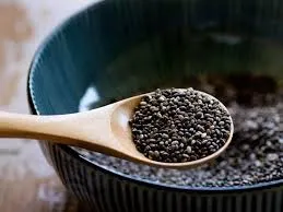 Eating Chia Seeds Wrong? Gut Expert Reveals the Healthiest Way to Consume Them