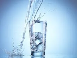 Harvard Doctor Reveals Simple Metabolism Hacks — Does Cold Water Really Burn Fat?