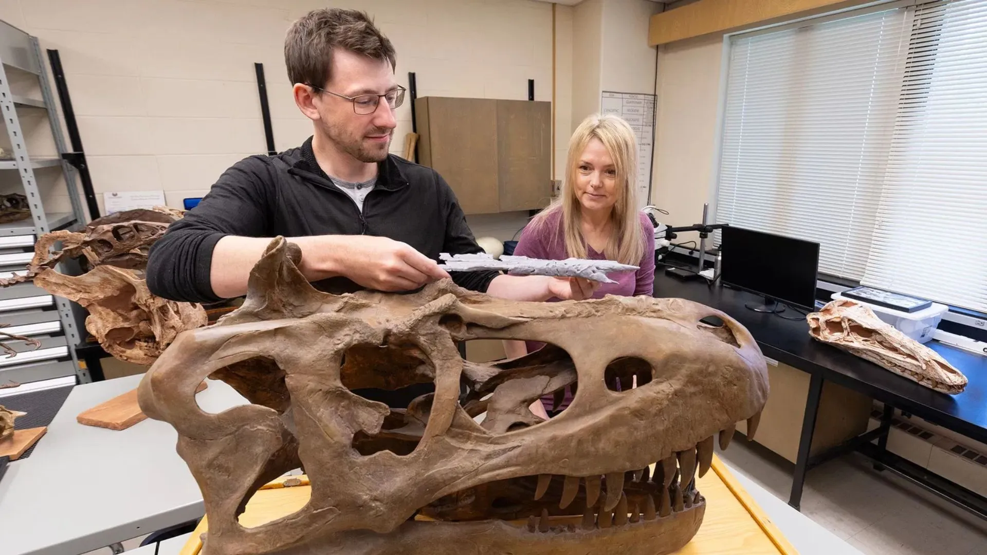 ‘T.rex Wasn’t the First King! Meet the ‘Dragon Prince’ That Came Before’