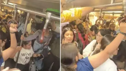 Viral Video Claims Snake in Delhi Metro Ladies’ Coach | WATCH