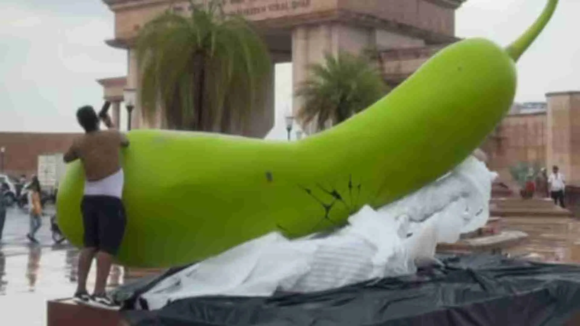 ‘Dekh Raha Hai Binod?’ Giant Lauki On Cooker Grabs Eyeballs In Lucknow | WATCH
