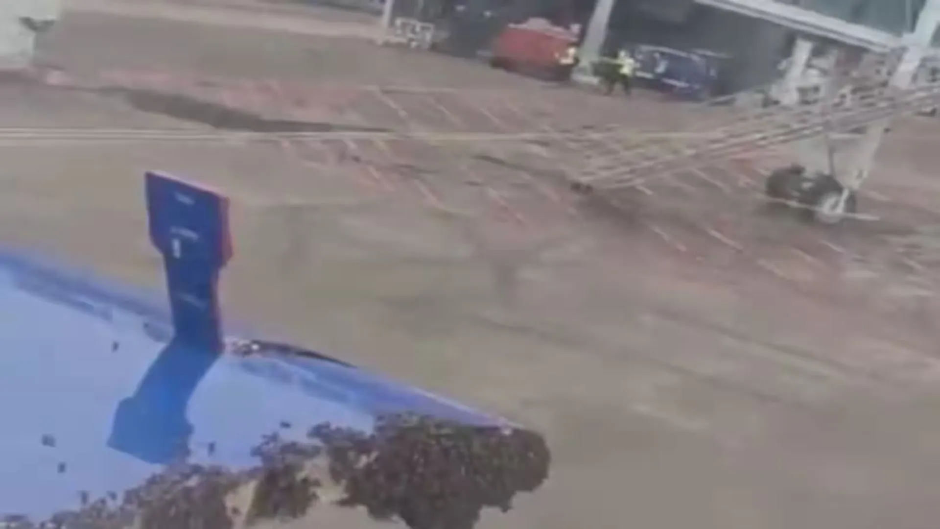 Bees Swarm IndiGo Flight in Surat, Delay Jaipur Departure by 1 Hour