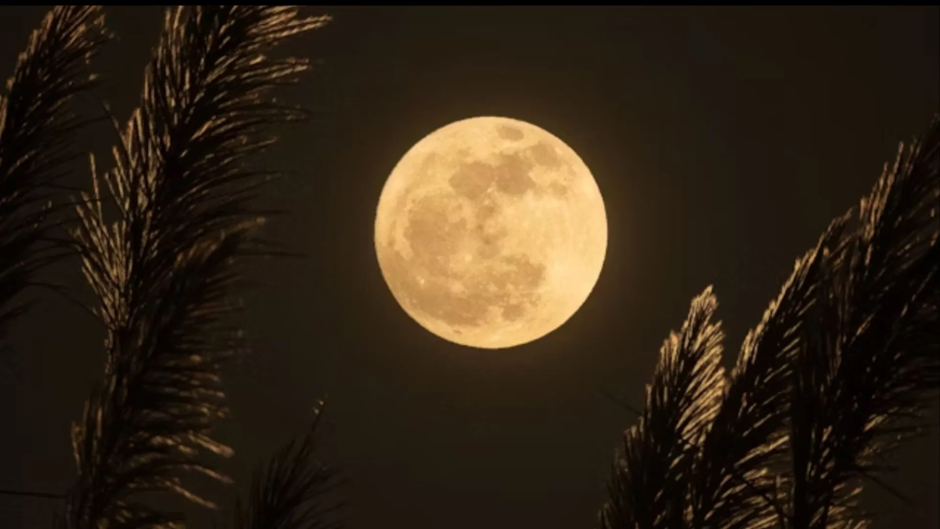 Why July’s Buck Moon 2025 Will Appear Bigger and Hang Lower in the Sky