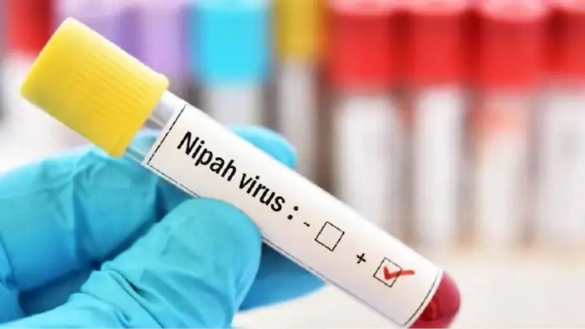 Kerala Confirms New Nipah Virus Case in Palakkad District
