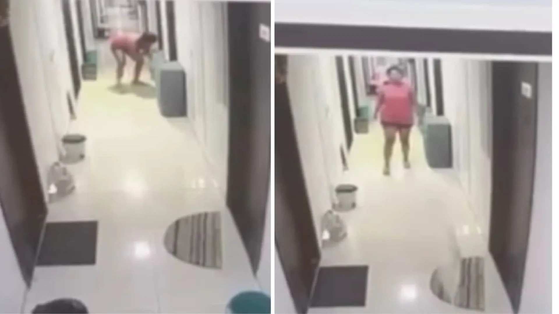 CCTV Footage Shows Pune Woman Brutally Slamming Cat | WATCH