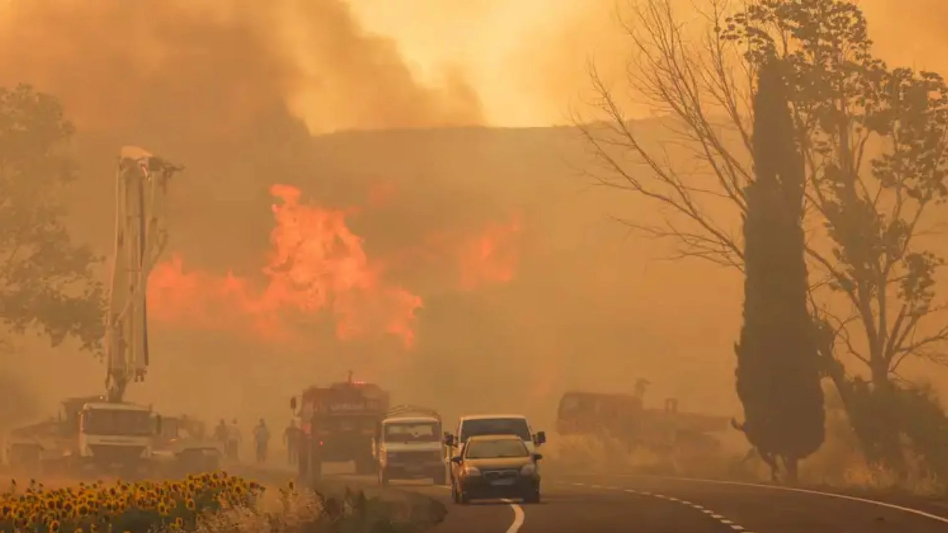 Turkey Arrests 10 Suspects As Deadly Wildfires Rage Across Turkey’s Countryside