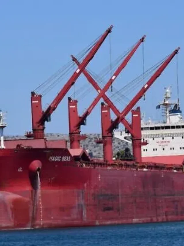 Liberian Cargo Ship Sinks After Houthi Attack in Red Sea